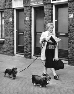351242 Afbeelding van een vrouw met twee aangelijnde hondjes in de Kanaalstraat te Utrecht.